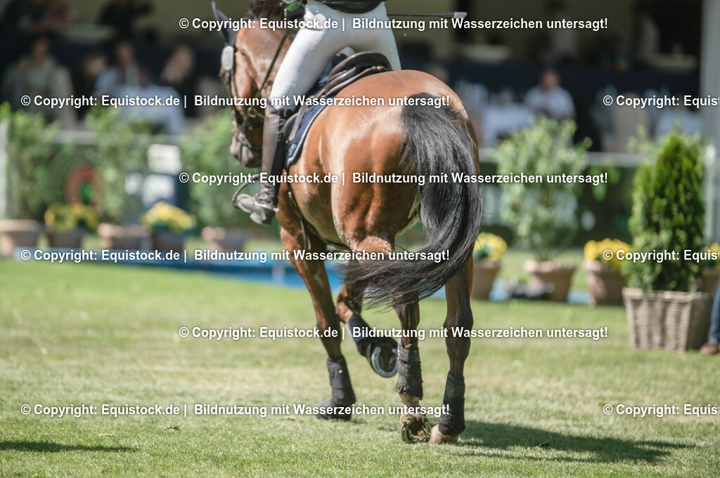 20230527_27_CCI4_Gelände_0159 | equistock