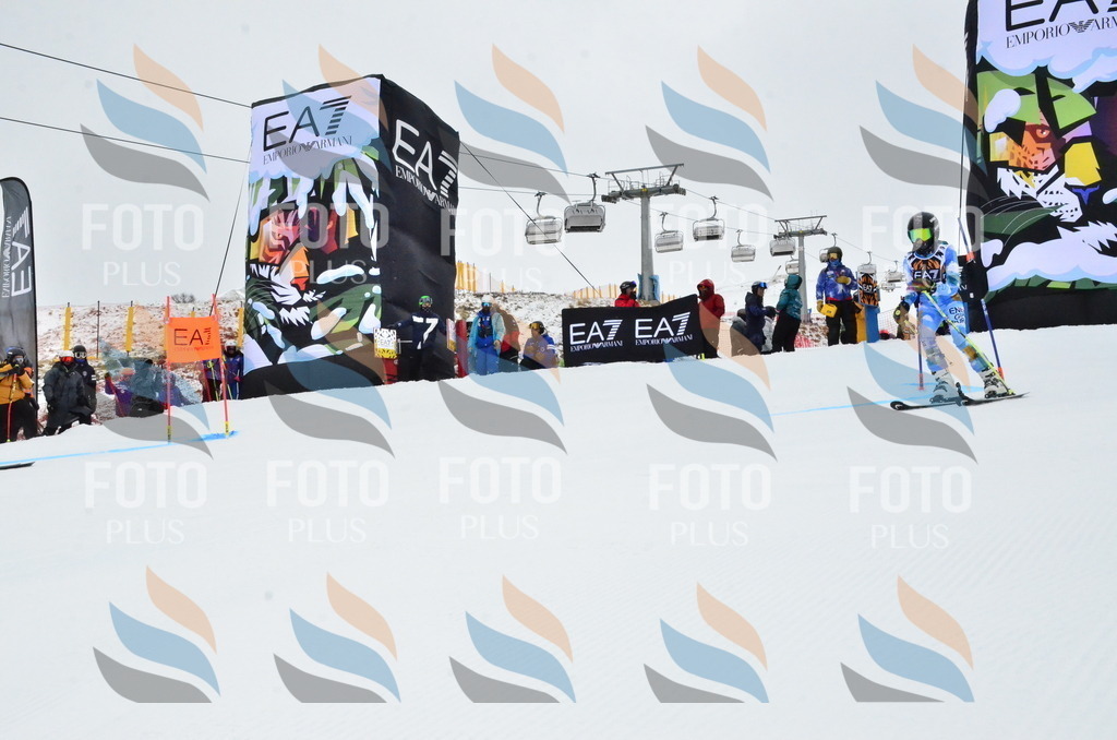 _ELE3440 | holidayphoto