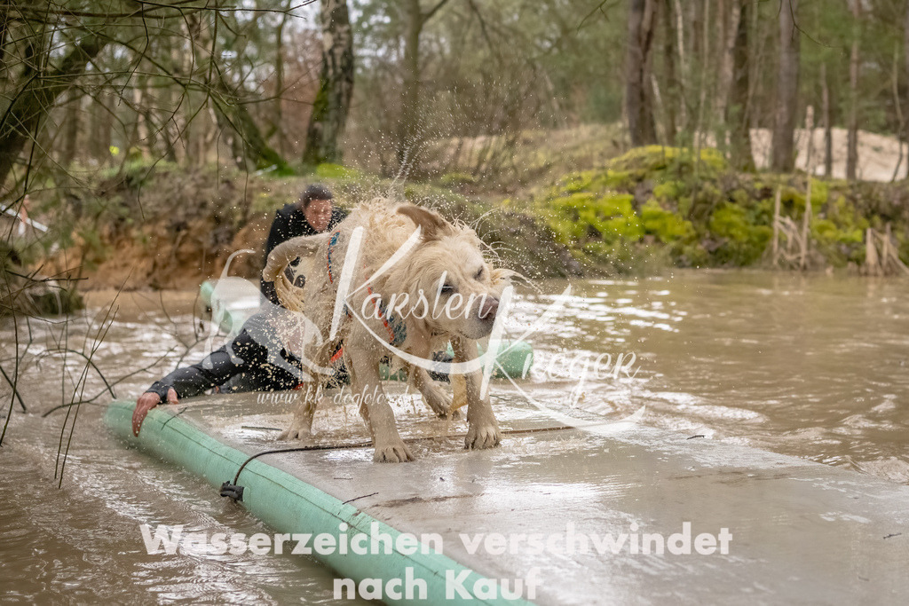 0901_ZZ90129-Bearbeitet | kk-dogfotos