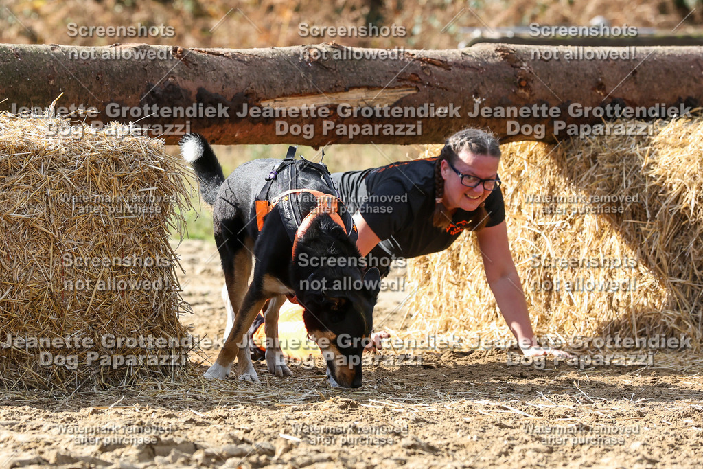 Dog Paparazzi - Strongdog 10-25-5278 | Dog Paparazzi Jeanette Grottendiek Fotografie & Videografie - Realisiert mit Pictrs.com