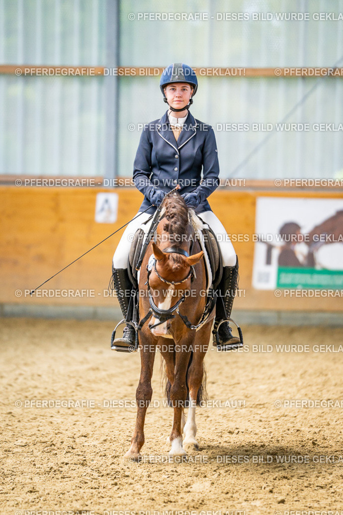 DSC03819 | Pferdegrafie