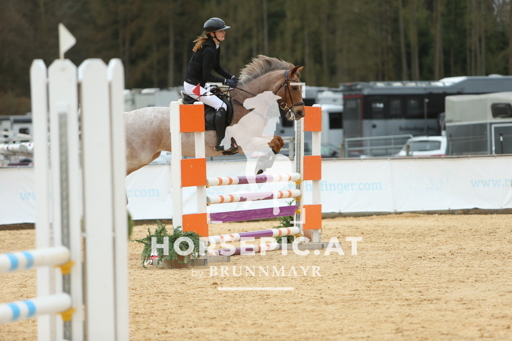 DL2Q2612 | Willkommen bei Brunnmayr - Design & Fotografie – Ihrem Spezialisten für Reitturniere und Pferdeveranstaltungen in Oberösterreich, Salzburg und Bayern! Seit über 17 Jahren sind wir leidenschaftlich dabei.