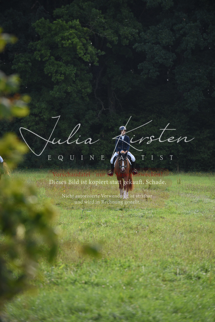 DSC_8534 | Pferde- und Turnierfotografie in Westsachsen. Pferdeportraits, Auftragszeichnungen und intuitive Kunst.