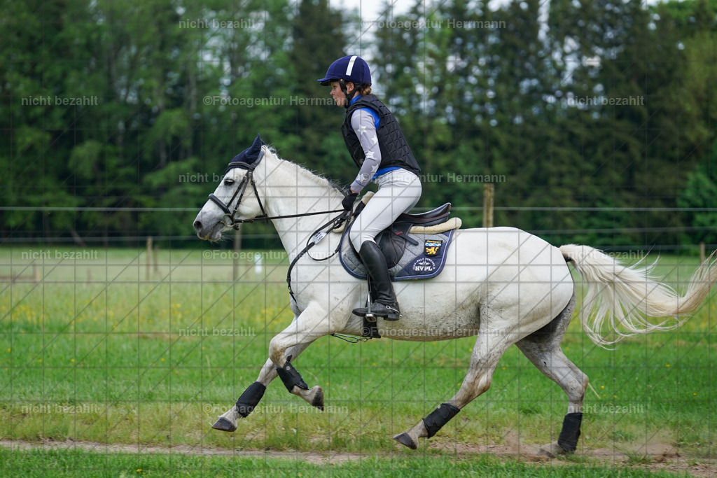 20240518-FAH04065 | Turnierbilder von Niederseon, Turnierfotografen Bayern, Fotoagentur Herrmann, Geländebilder, Reitsportfotografie