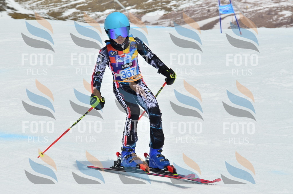 _ELE2979 | holidayphoto