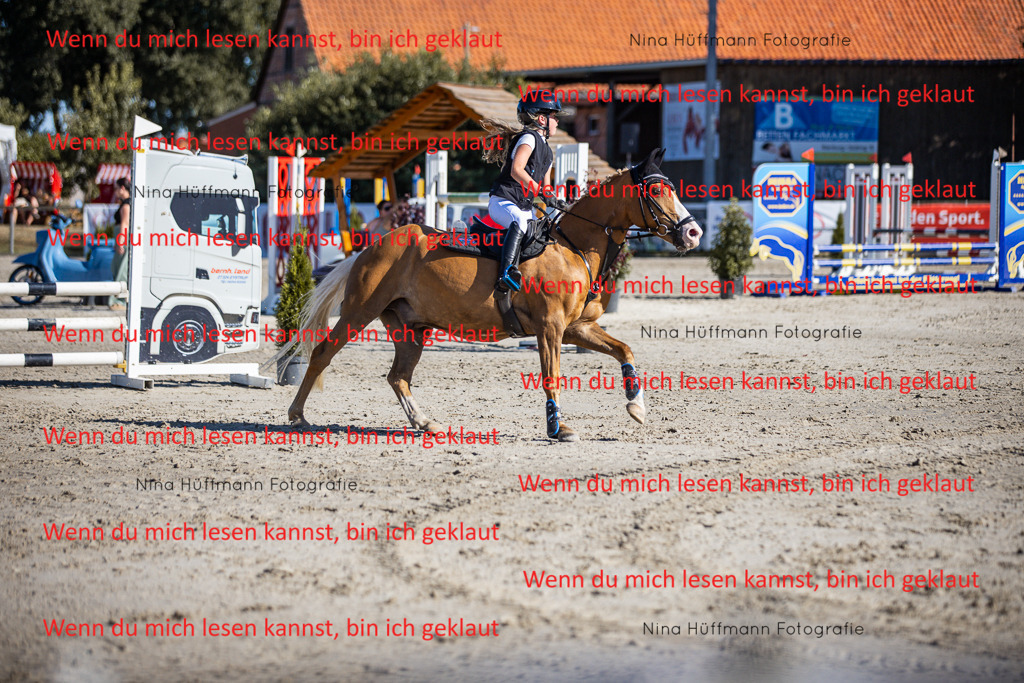 BK1A8064 | Turnierbilder Turnierfotos Nina Hüffmann Turnierfotografie Pferdefotografie Tierzeichnung Haustierzeichnung Pferdezeichnung Hundezeichnung Videograf  - Realisiert mit Pictrs.com