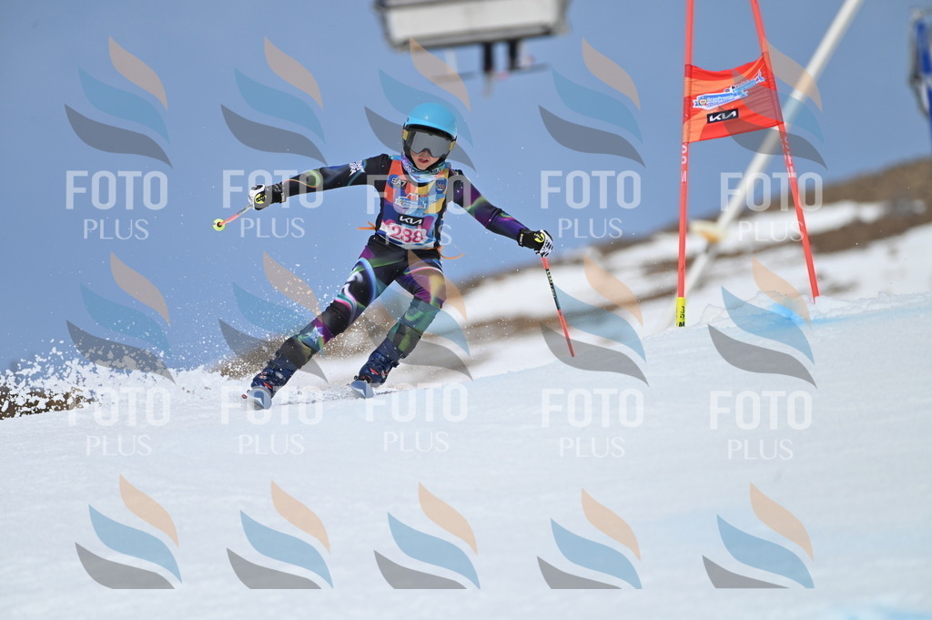 BGV_2560 | holidayphoto