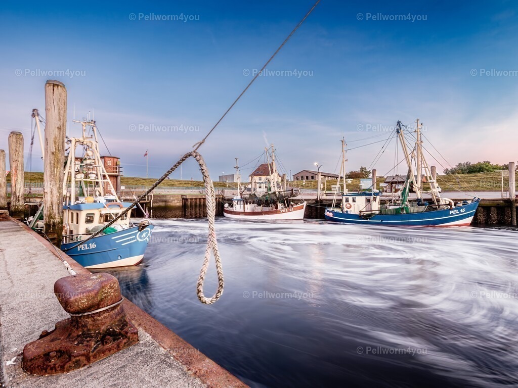 _9170539-Enhanced-NR-denoise-sharpen | Pellwormer Bilder und Fotos als Poster, auf Leinwand mit Keilrahmen, hinter Acrylglas, auf Alu-Dibond oder Forex-Platte und vieles mehr. Zum verschenken, für die Ferienwohnung oder für zu Hause. - Realisiert mit Pictrs.com