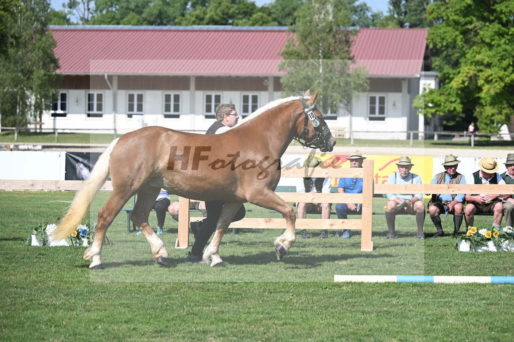 Kat-Nr. 10 Hilla_Hartl_20230153 | hf-fotografie - Realisiert mit Pictrs.com