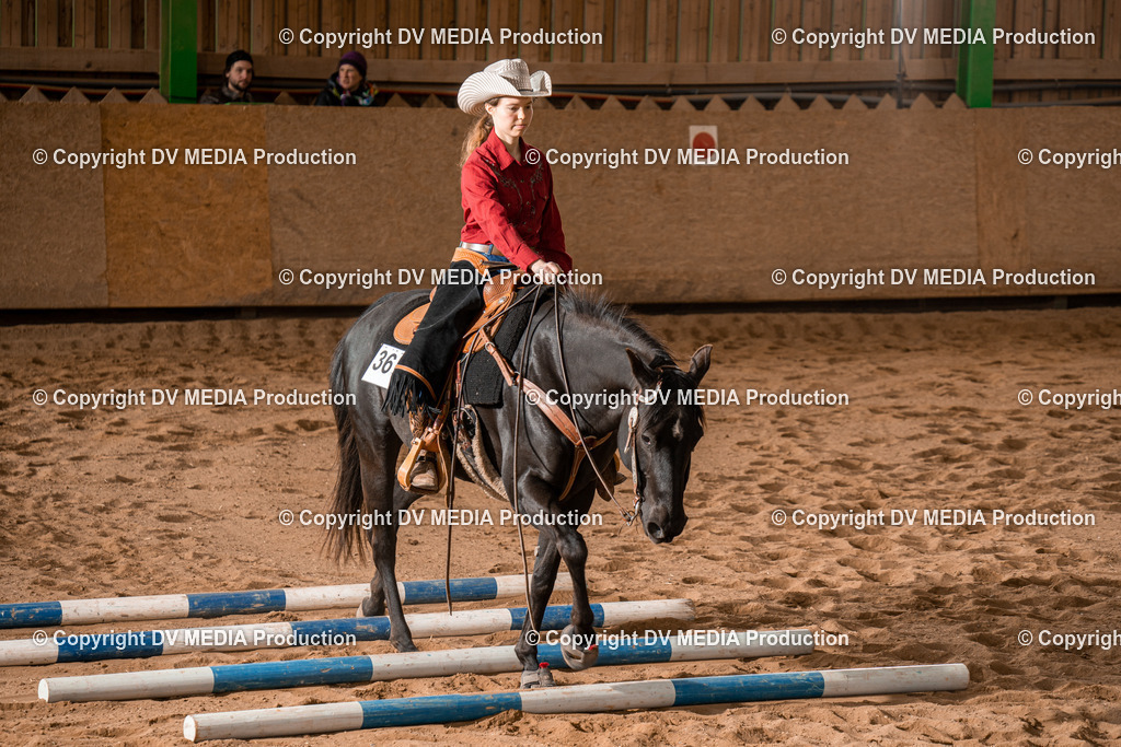 BA400810 | dv-media-shop - Realisiert mit Pictrs.com