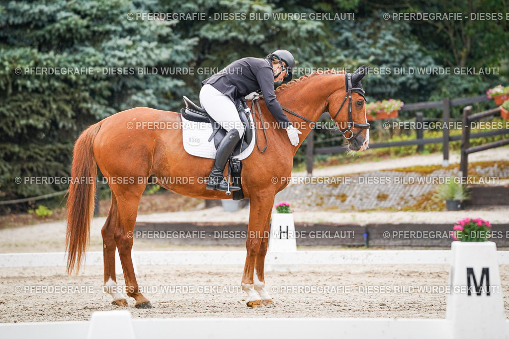 DSC00274 | Pferdegrafie