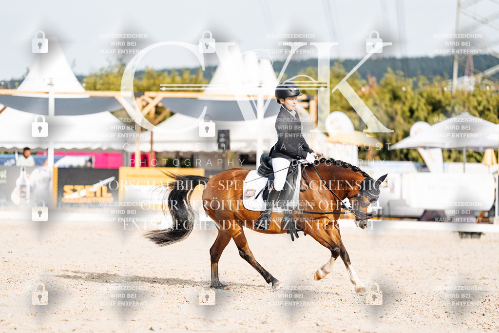 CK904260 | Turnierfotografie Pferdefotografie Trier Rheinland-Pfalz Pferdesport Reitsport Tierfotografie Sportfotografie Pferdevideo Pferdevideografie Equestrianvideography equestrianphotography  - Realisiert mit Pictrs.com