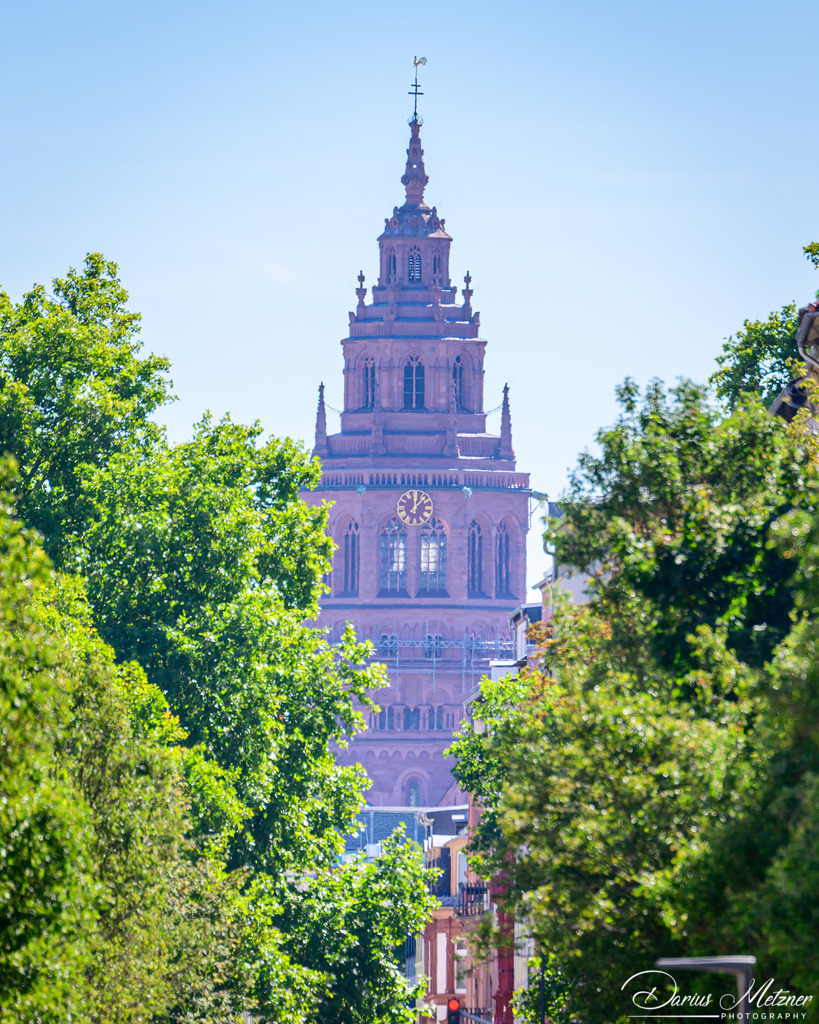 DSC_0267 2 | Fotografien, Fotos und Bilder aus Mainz, Frankfurt, Wiesbaden und anderen Orten auf der Welt - Fotografiert von Darius Metzner