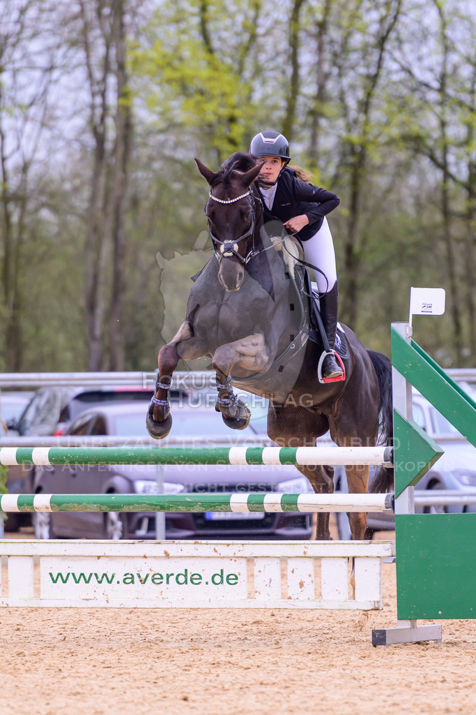 12042026-Mammendorf-Prfg42-0170 | Fokus Hufschlag Fotografie - Realisiert mit Pictrs.com