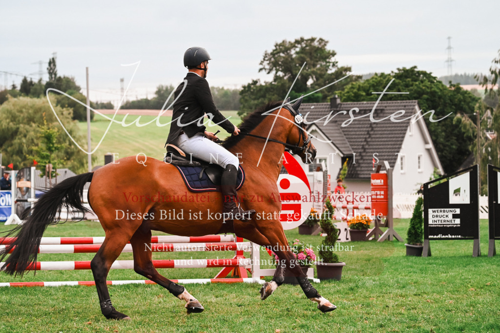 DSC_6339 | Pferde- und Turnierfotografie in Westsachsen. Pferdeportraits, Auftragszeichnungen und intuitive Kunst.