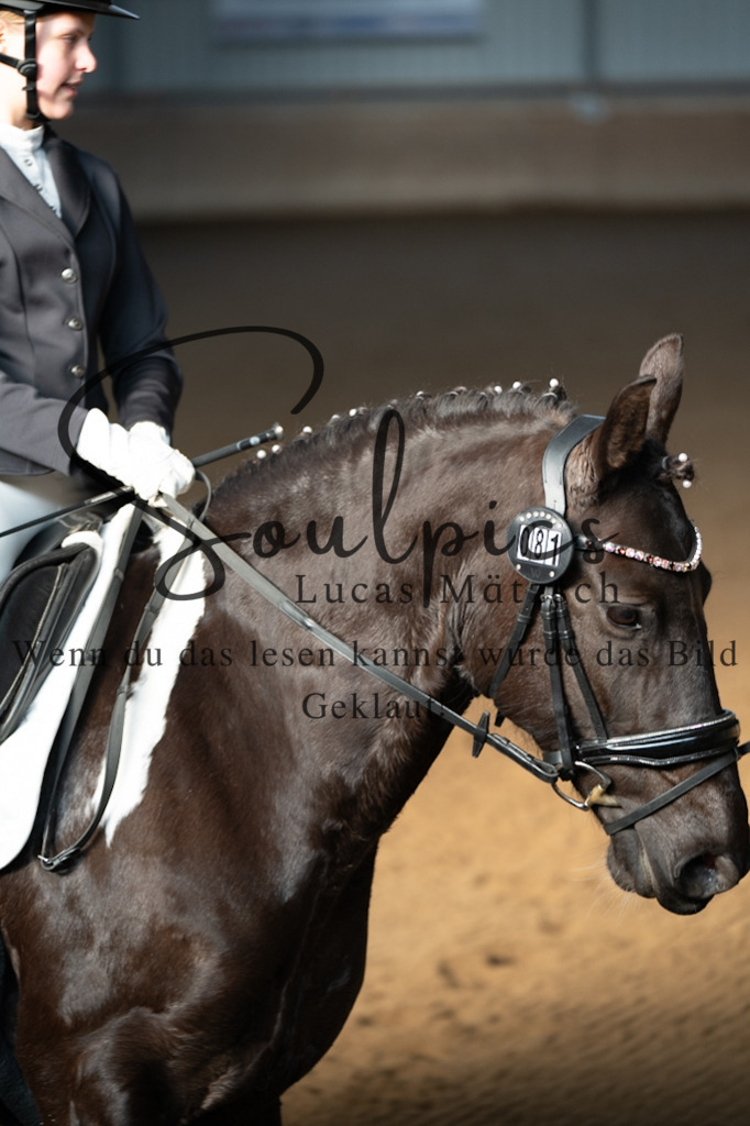 A7V05672 | Pferdefotograf