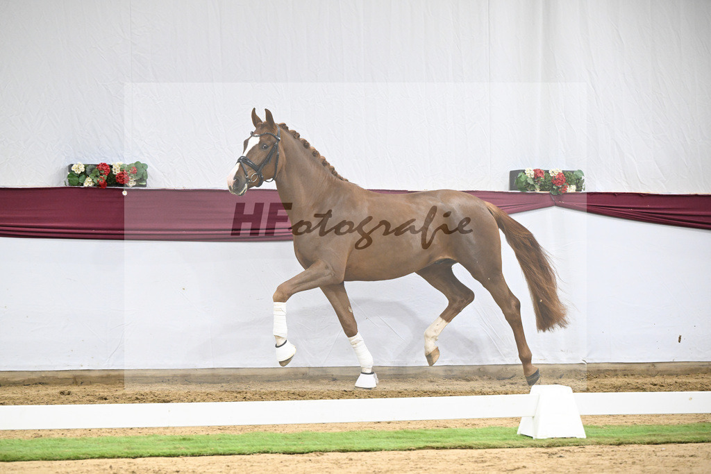 Kat-Nr. 115 Secret x Fidermark_Frieder Heilemann_47254368 | hf-fotografie - Realisiert mit Pictrs.com