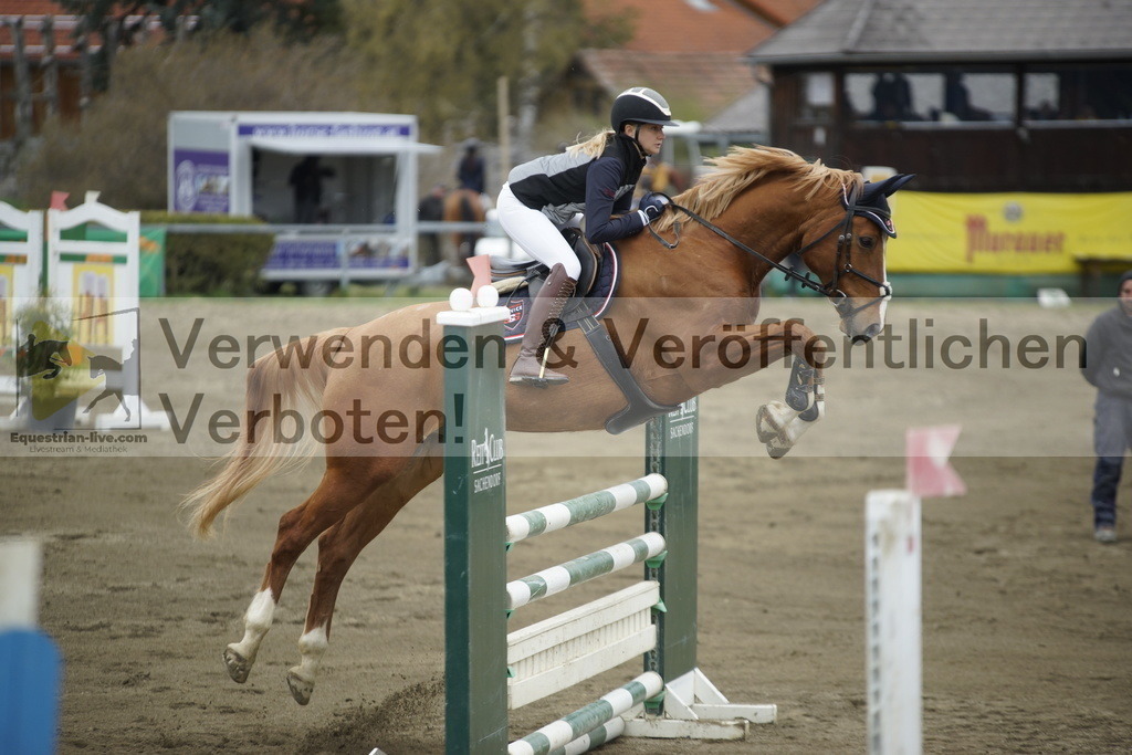 _DSC7333 | equestrian-live-com