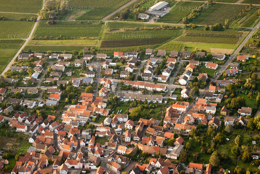 Luftbild: Godramstein, Rebsortenviertel im Ortsteil Godramstein in Landau im Bundesland Rheinland-Pfalz in Deutschland. Foto: IMG_32986.jpg vom 03.09.2010 durch Werner Riehm/FLY-FOTO.de