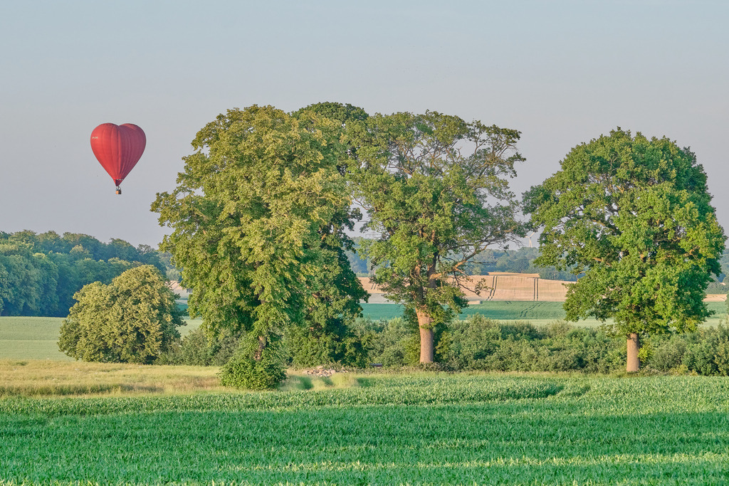 DSCF3107 1 | Entdecken Sie hochwertige Fotoprodukte für Ihr Zuhause, Büro oder als besonderes Geschenk.rpixel.de bietet Ihnen exklusive Fotografien aus den Bereichen Natur, Landschaft und Motiven vom Meer.Einfach direkt im Online-Shop bestellen. - Realisiert mit Pictrs.com