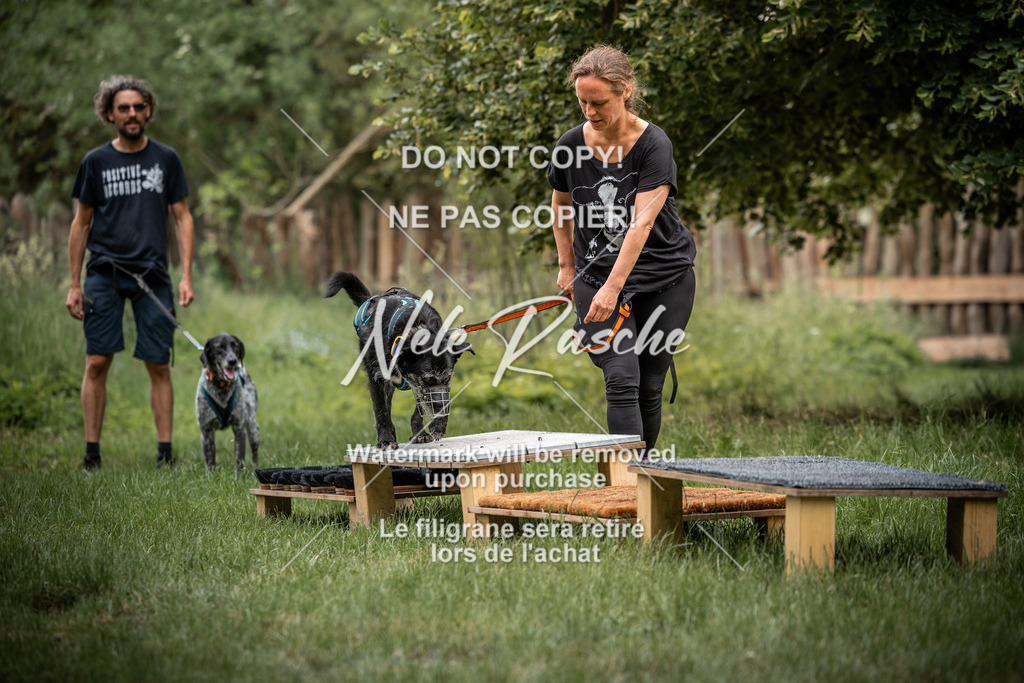 nelerasche_So-funtrail_182 | nelerasche