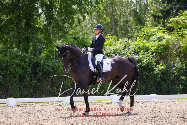 DKP41128 | Turnierfotos kaufen im Webshop von Daniel Kuhl Photography – entdecke professionelle Reitsportfotos aus Turnieren & Events. Hochwertige Turnierbilder online bestellen & sichern. Jetzt Fotos von Reitsportturnieren kaufen!