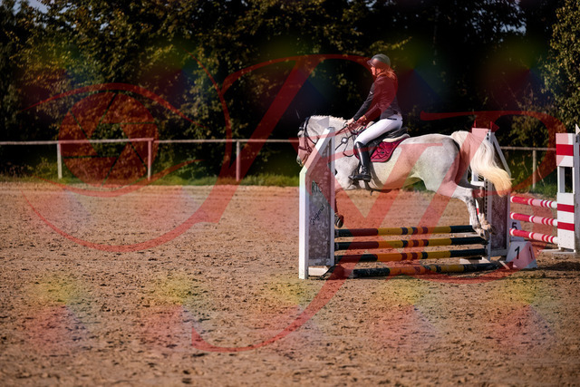 2026_10_03_Siefer-Hof_155108_Z81_69791045 | Professionelle Reitsport-, Turnier- und Eventfotografie von Robert Broda. Galerien mit ausgewählten und bearbeiteten Bildern direkt online ansehen und bestellen.