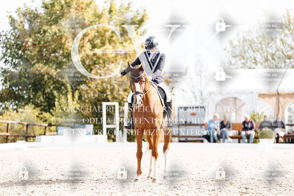 CK901818 | Turnierfotografie Pferdefotografie Trier Rheinland-Pfalz Pferdesport Reitsport Tierfotografie Sportfotografie Pferdevideo Pferdevideografie Equestrianvideography equestrianphotography  - Realisiert mit Pictrs.com