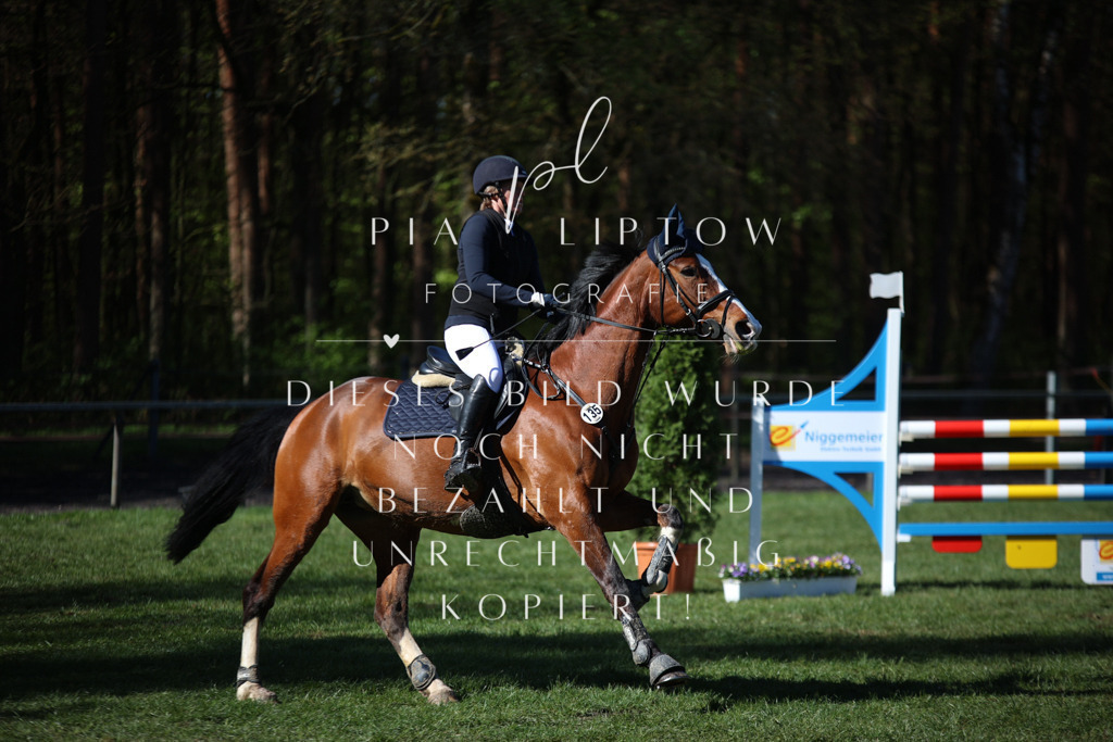 IMGT0392 | pl-fotografie