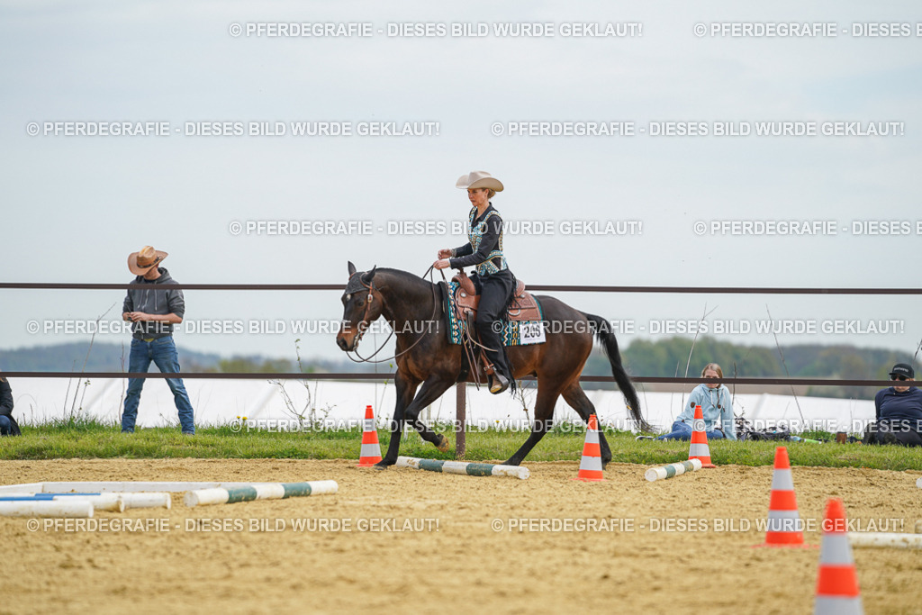 DSC03203 | Pferdegrafie