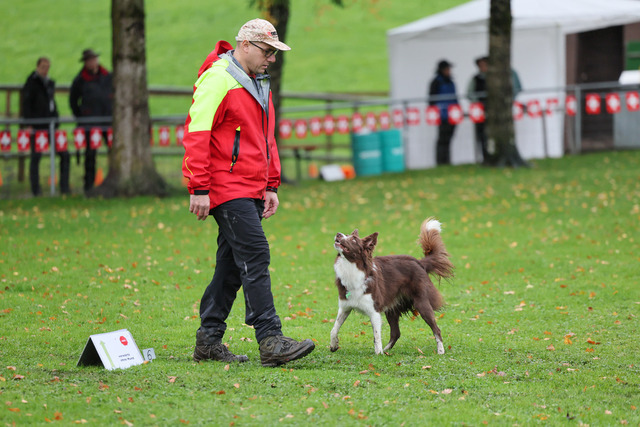 2025_Rally_Obedience_SM-81 | Ich fotografiere Hundeausstellungen, Sportanlässe, Zuchtstätten, Hundezucht, Hundeportrait, Lagotto - Realisiert mit Pictrs.com