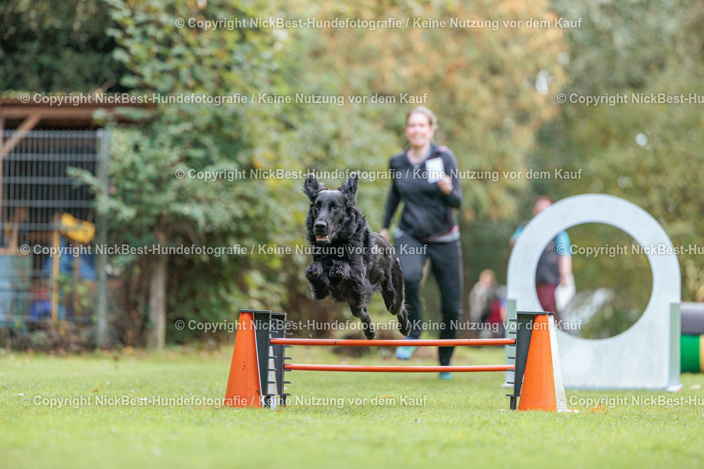 THS-HSV-Blumenthal-2026-Nickbest-Hundefotografie-1656 | Dein Hund! Dein Moment! Deine Erinnerungen! Hundefotografie in Bremen Blumenthal. Ich fange die besonderen Momente deines Vierbeiners ein – ob Indoor mit Blitzanlage oder in der freien Natur. Sicher dir dein Moment und dein Termin für eure Erinnerungen.