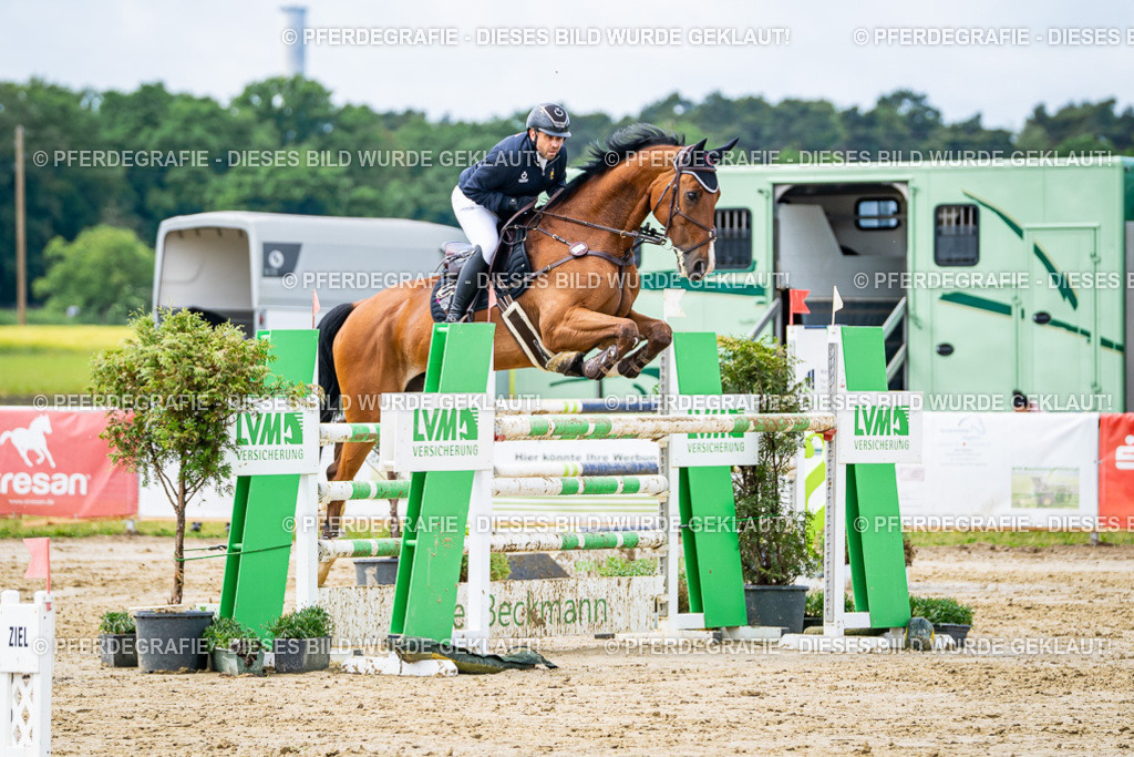 DSC03979 | Pferdegrafie