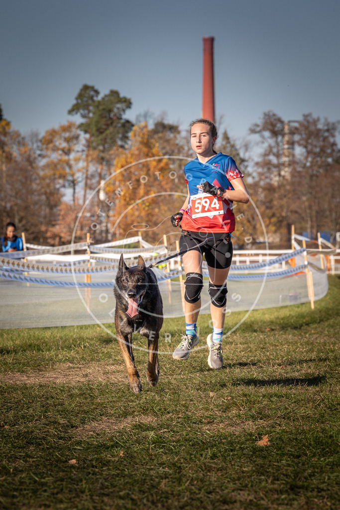 CaniXpix_0L8A8438 | Hundefotografie, Tierfotograf, Pfotenfotografie, Fotoshooting Hund, Hunde Portrait, Hundesport, Hundeportraits, Heideshooting, Hunde, Sportfotograf, Hundefotograf, Turnierhundsport, THS,  - Realisiert mit Pictrs.com