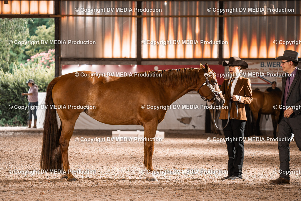 ZH200281 | dv-media-shop - Realisiert mit Pictrs.com