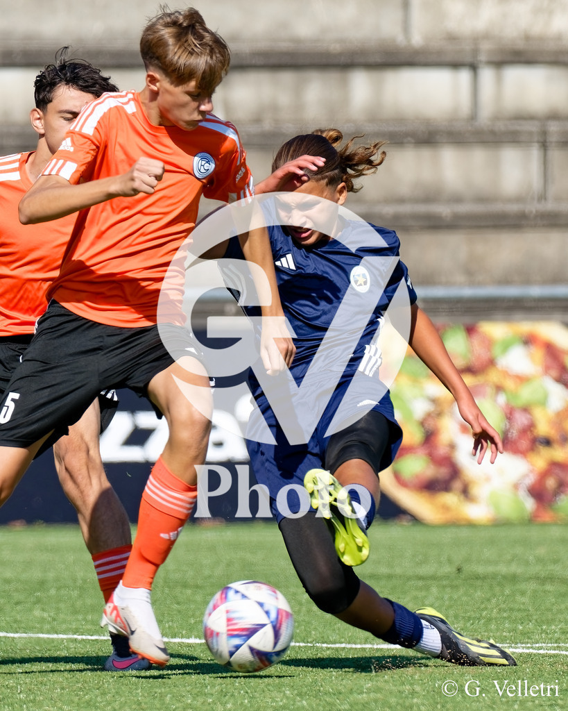 DZ9_4351 | Carouge - Concordia BâleM16Stade de la Fontenette21.9.2024