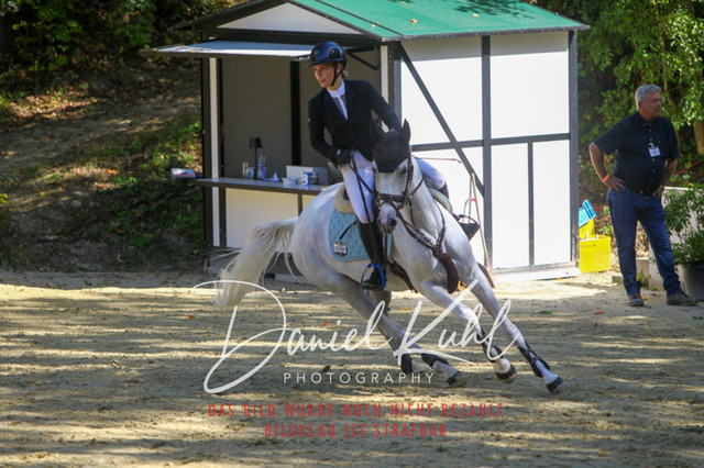 DKP43254 | Turniersportfotografie; Pferdefotografie; Dressurfotografie