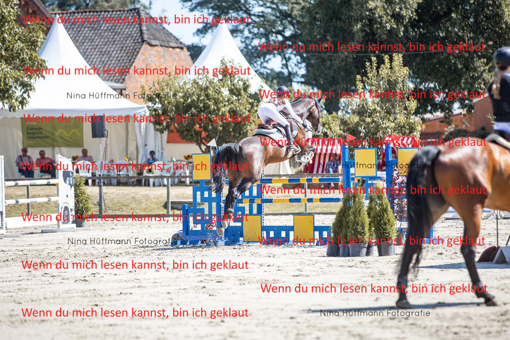 BK1A6670 | Turnierbilder Turnierfotos Nina Hüffmann Turnierfotografie Pferdefotografie Tierzeichnung Haustierzeichnung Pferdezeichnung Hundezeichnung Videograf  - Realisiert mit Pictrs.com