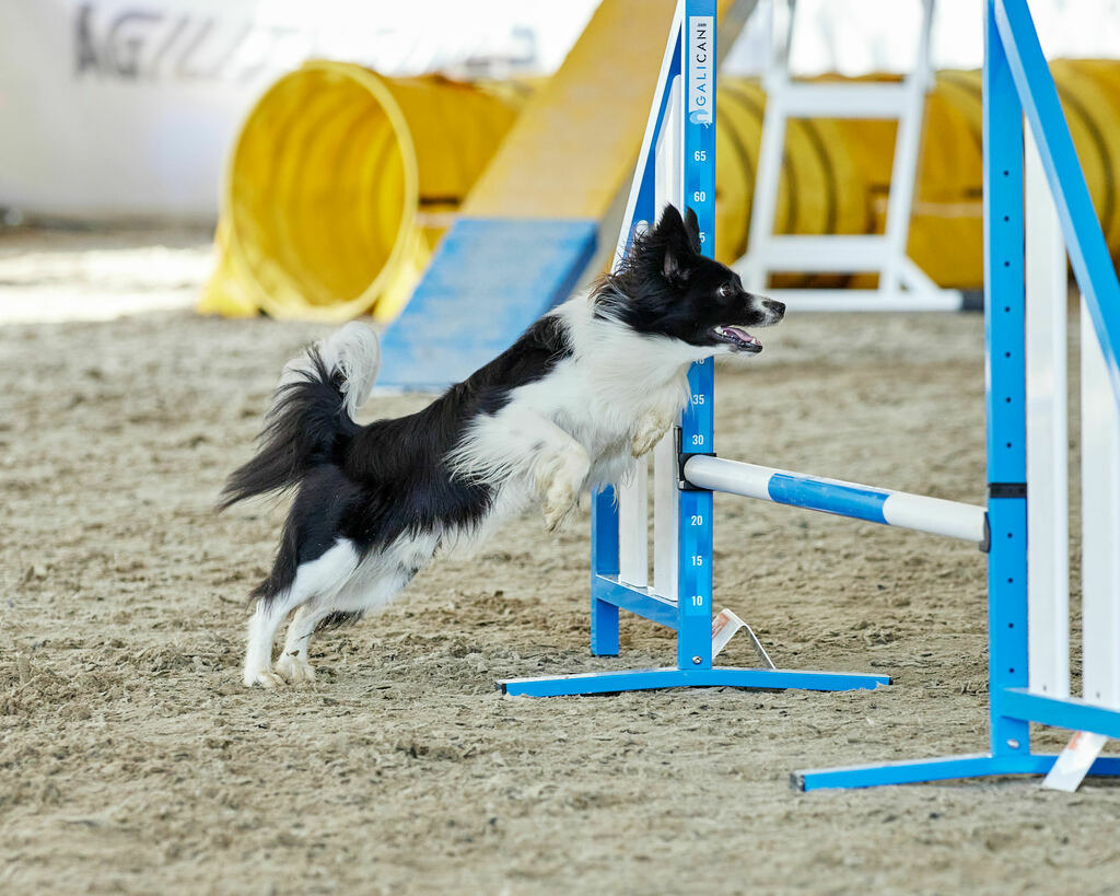 580B0096 | Peter Fridle Fotografie - Realisiert mit Pictrs.com