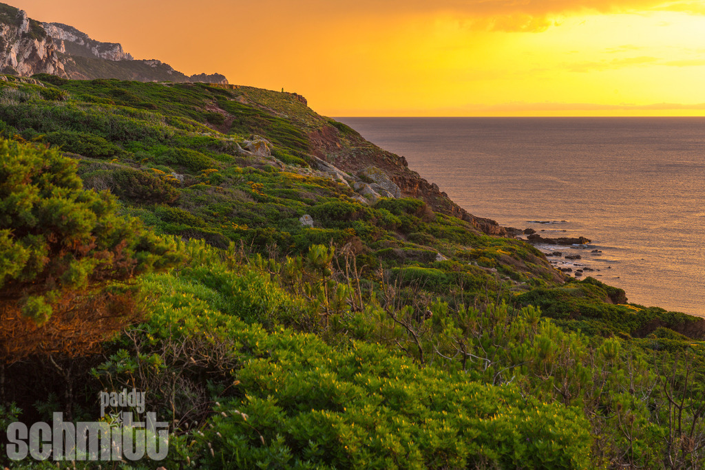 PS-Sardinien-2026-38 | Entdecke die größte Bildgalerie der Region mit Fotografien aus dem Allgäu, der Bodenseeregion, Oberschwaben, dem Donautal und der Schwäbischen Alb. Landschaften, Luftaufnahmen und Reisefotografie als Wandbild und Fotokunst. - Realisiert mit Pictrs.com