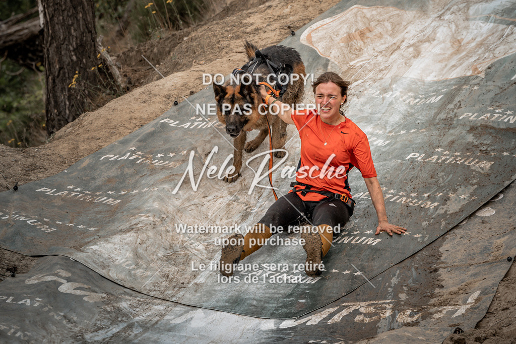 nelerasche_sa1300-1345_156 | nelerasche
