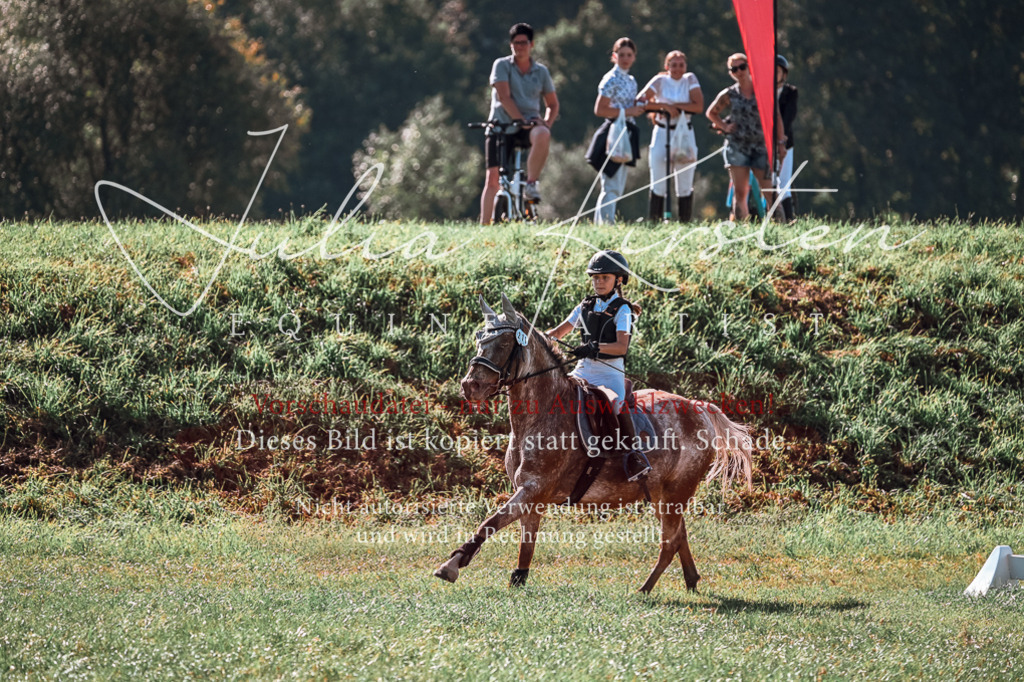 DSC_0695 | Pferde- und Turnierfotografie in Westsachsen. Pferdeportraits, Auftragszeichnungen und intuitive Kunst.