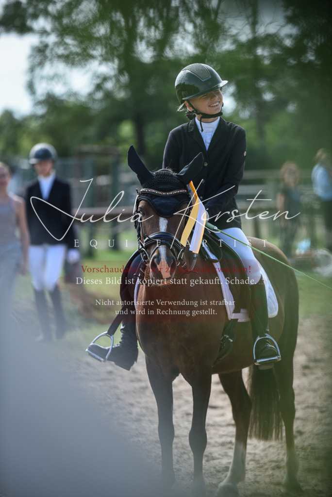 DSC_8714 | Pferde- und Turnierfotografie in Westsachsen. Pferdeportraits, Auftragszeichnungen und intuitive Kunst.