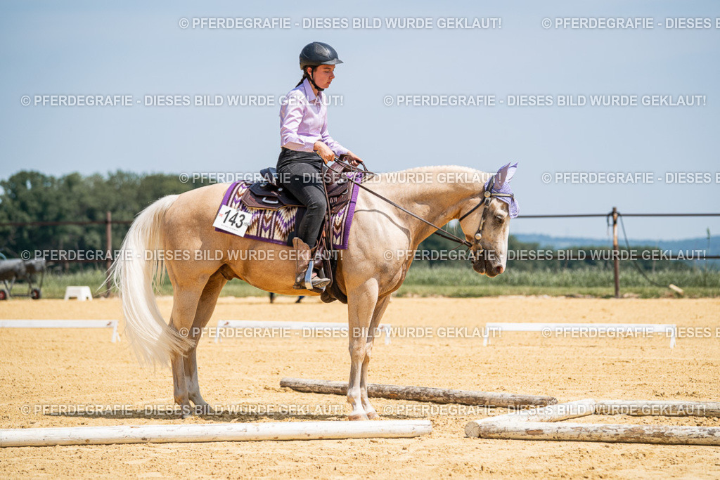 DSC01198 | Pferdegrafie