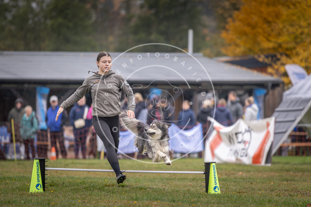 Pfotenfotografie_DV3A0643 | Hundefotografie, Tierfotograf, Pfotenfotografie, Fotoshooting Hund, Hunde Portrait, Hundesport, Hundeportraits, Heideshooting, Hunde, Sportfotograf, Hundefotograf, Turnierhundsport, THS,  - Realisiert mit Pictrs.com