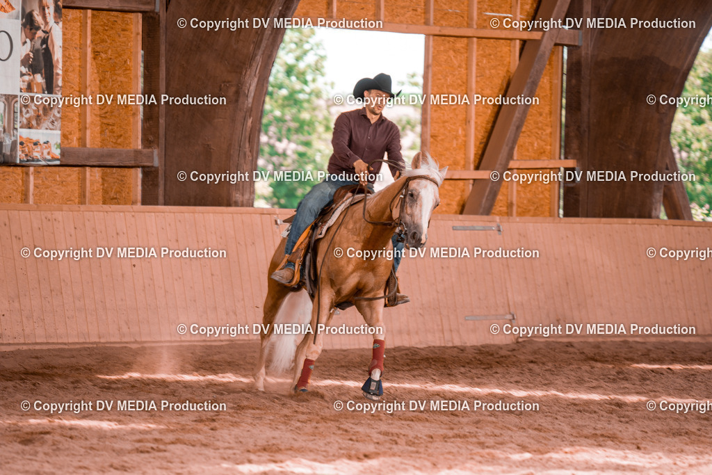 NE300549 | dv-media-shop - Realisiert mit Pictrs.com