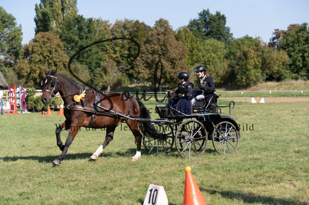 A7V04433 | Pferdefotograf