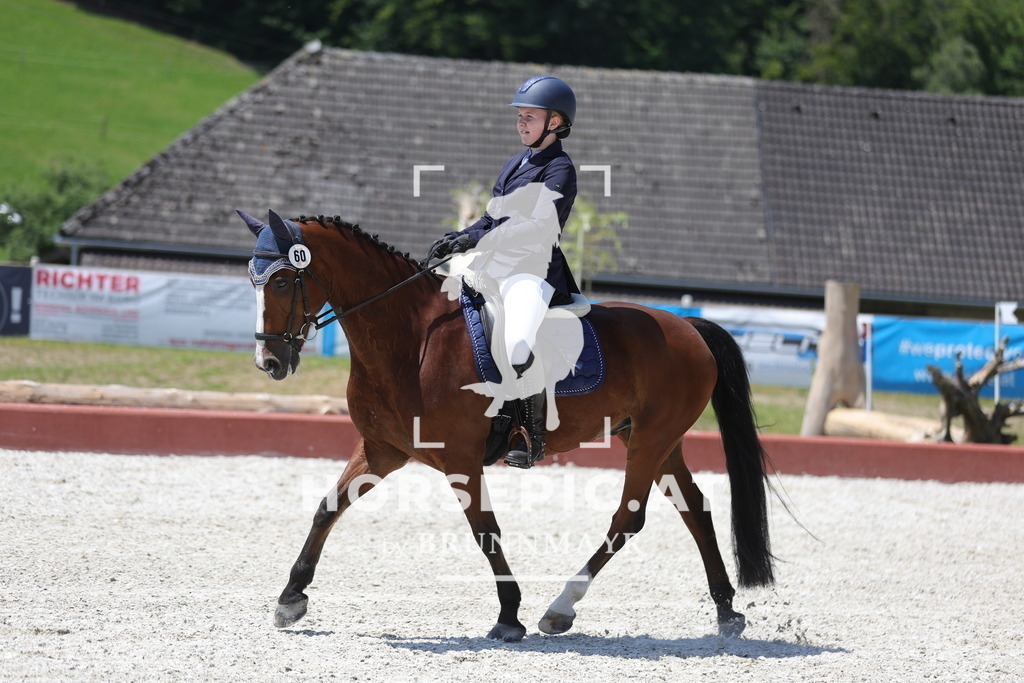 0P6A6349 | Willkommen bei Brunnmayr - Design & Fotografie – Ihrem Spezialisten für Reitturniere und Pferdeveranstaltungen in Oberösterreich, Salzburg und Bayern! Seit über 17 Jahren sind wir leidenschaftlich dabei.