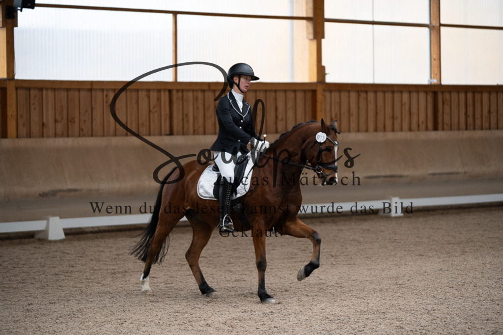 A7V02500 | Pferdefotograf