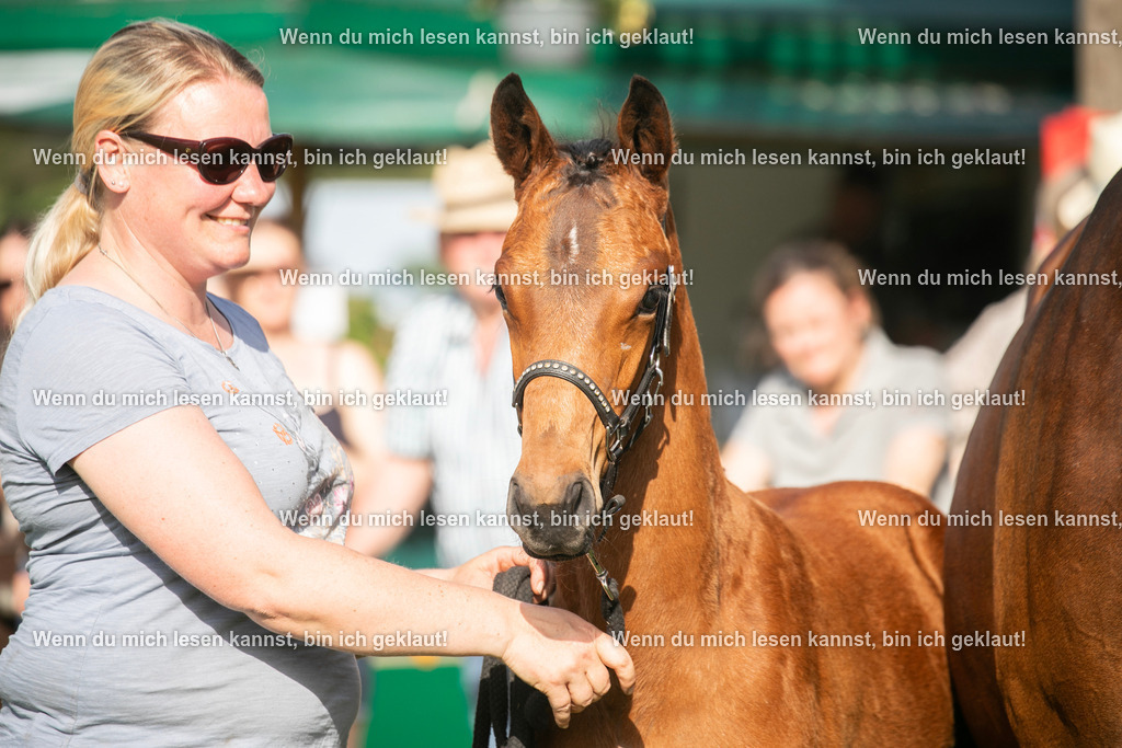 598A7127 | photographylinaismer - Realisiert mit Pictrs.com